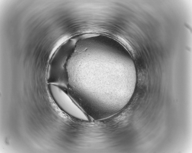 X0000093431138200711021029