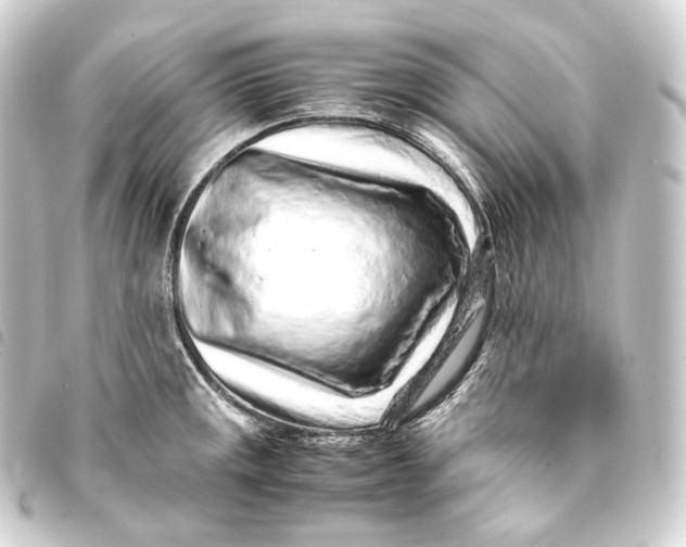 X0000093431141200711021029