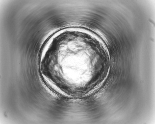 X0000093431142200711021029