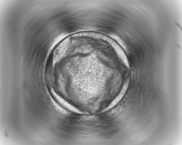 X0000093431143200711021029