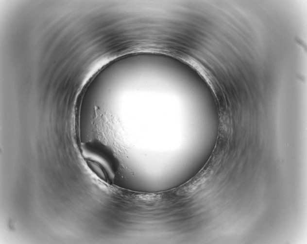 X0000093431147200711021029