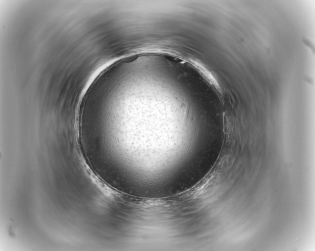 X0000093431148200711021029