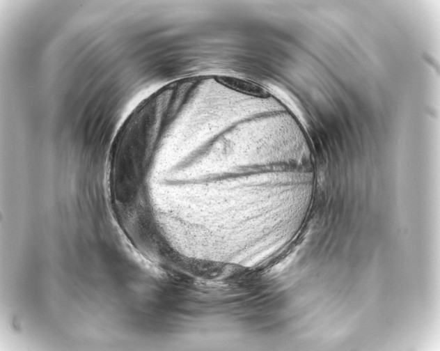 X0000093431149200711021029