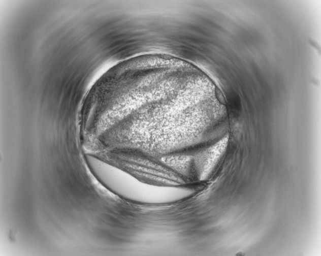 X0000093431151200711021029