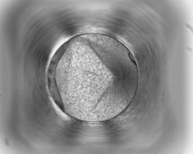 X0000093431152200711021029