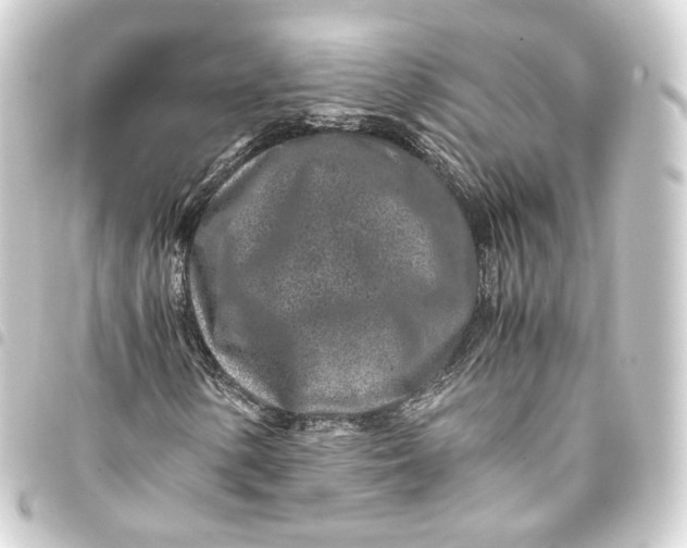 X0000093431154200711021028