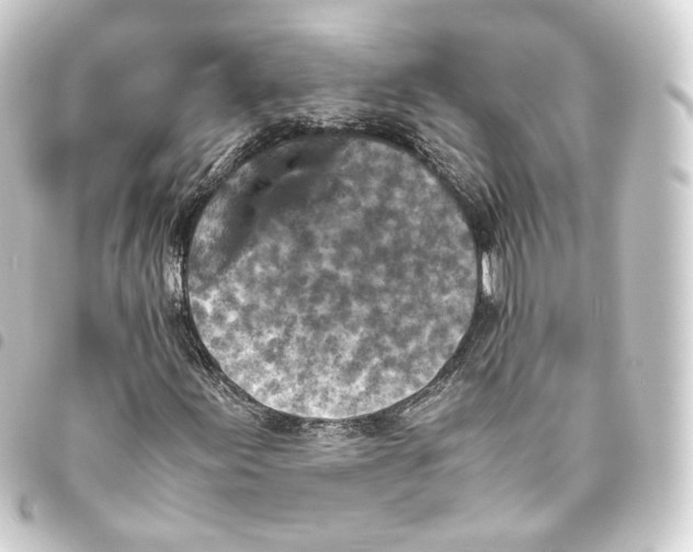 X0000093431155200711021028