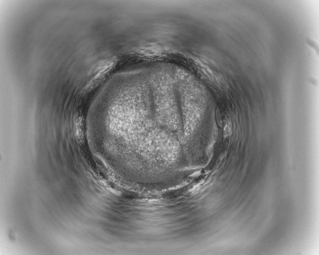 X0000093431156200711021028