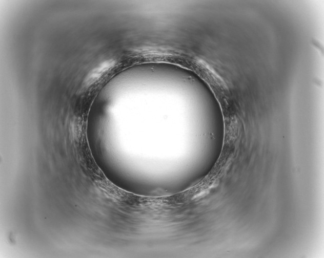 X0000093431157200711021028