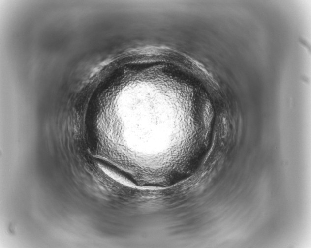 X0000093431158200711021028