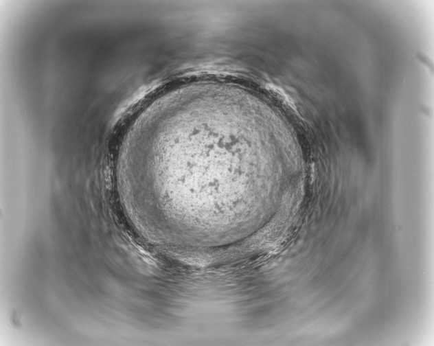 X0000093431159200711021028