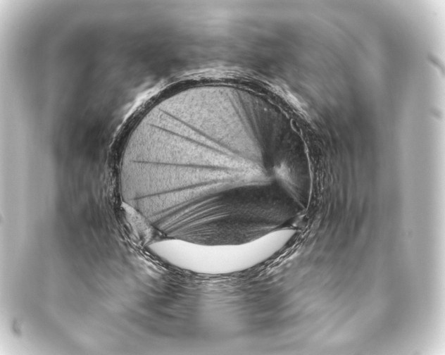 X0000093431160200711021028