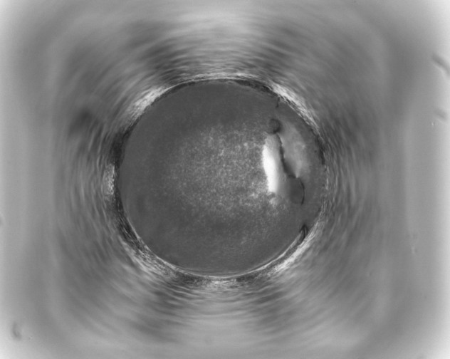 X0000093431161200711021028