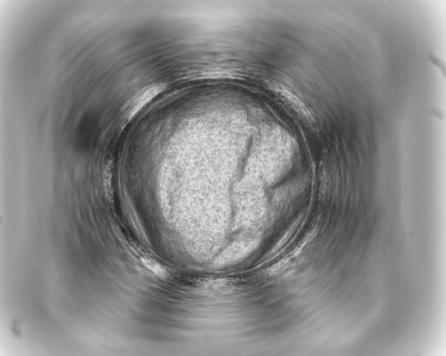 X0000093431162200711021028