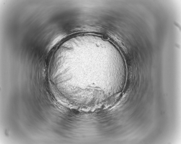 X0000093431163200711021028