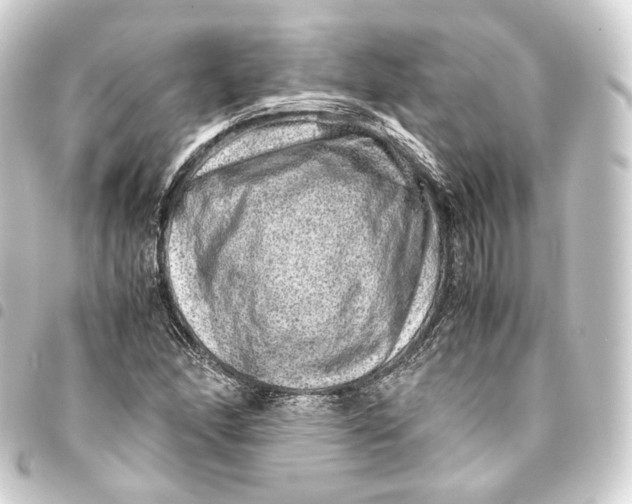 X0000093431166200711021028