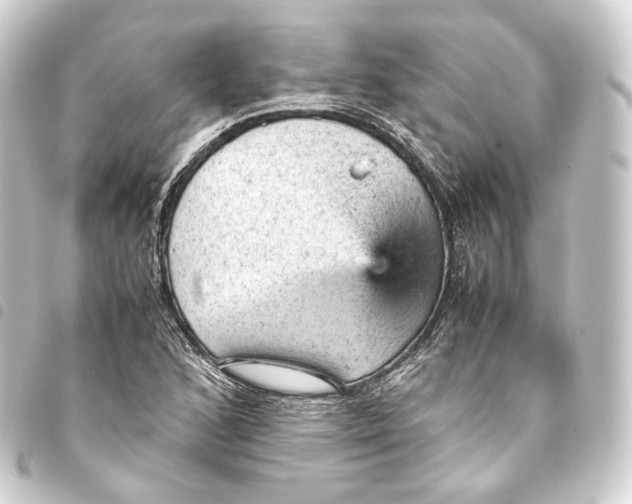 X0000093431168200711021028