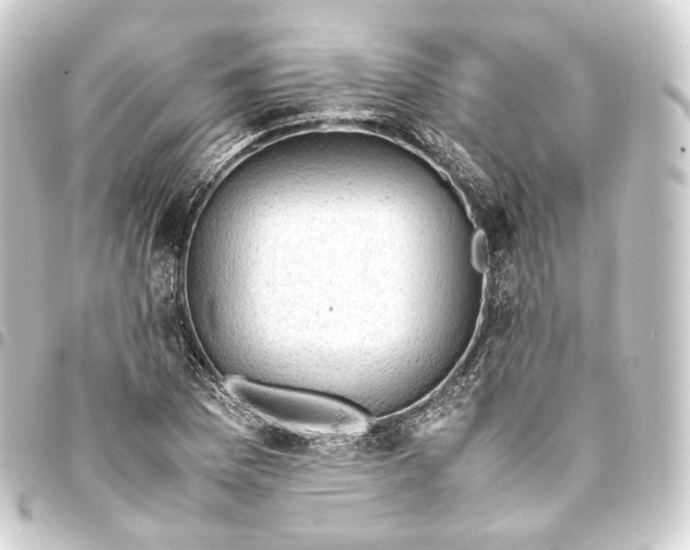 X0000093431169200711021028