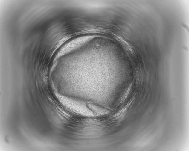 X0000093431170200711021028