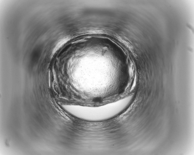 X0000093431171200711021028