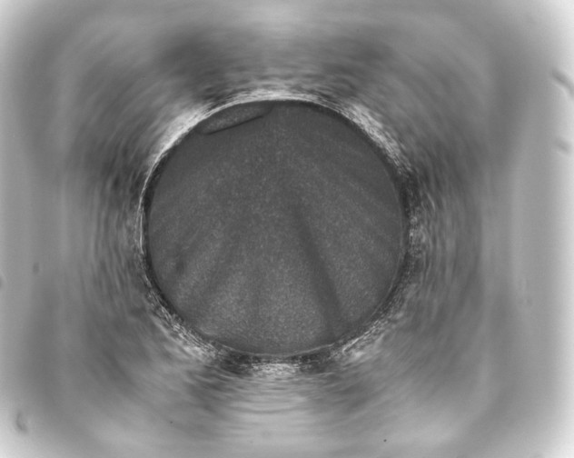 X0000093431173200711021028