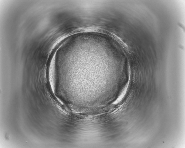 X0000093431174200711021028