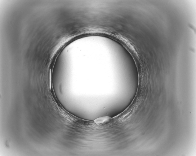 X0000093431175200711021028