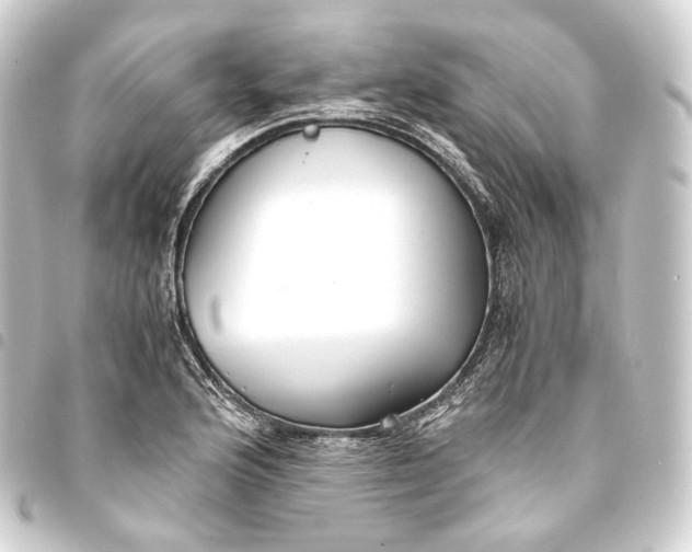 X0000093431176200711021028