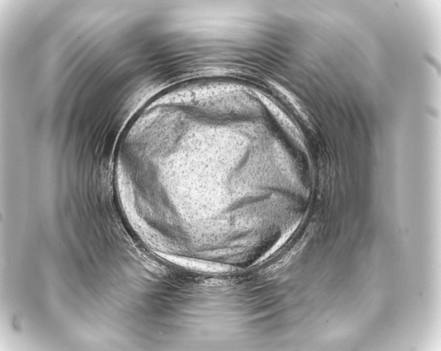 X0000093431178200711021028