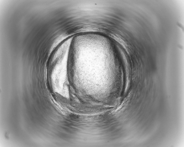 X0000093431179200711021028