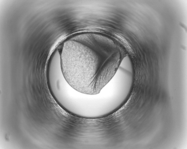 X0000093431180200711021028