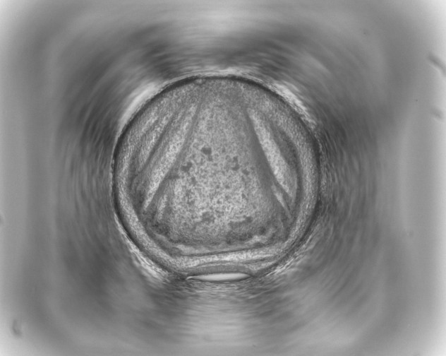 X0000093431183200711021028