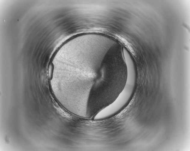 X0000093431184200711021028