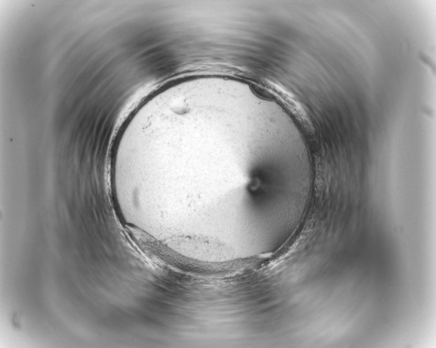 X0000093431188200711021028