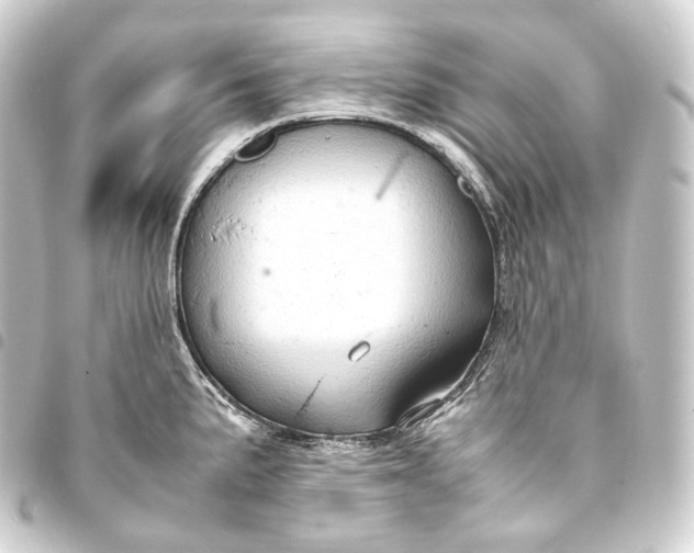 X0000093431191200711021028