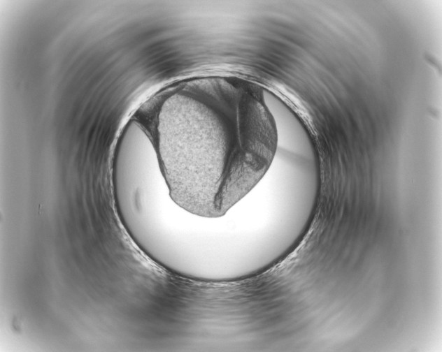 X0000093431192200711021028