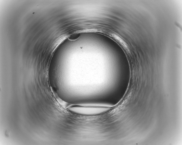 X0000093431193200711021028