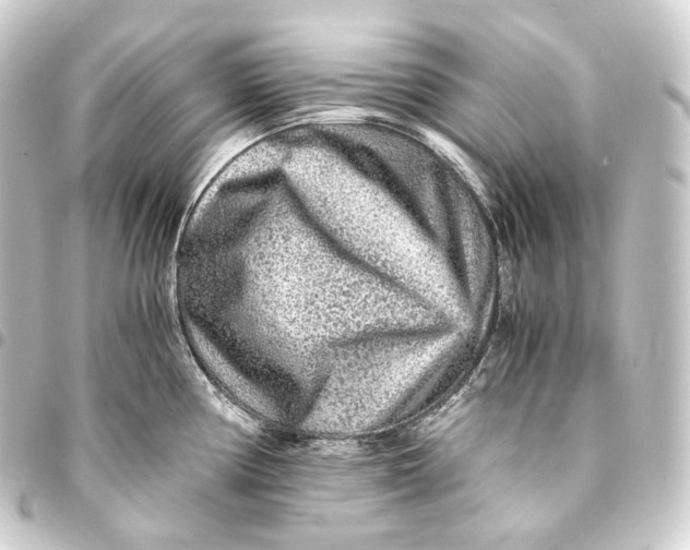 X0000093431194200711021028