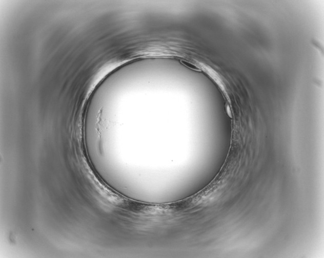 X0000093431195200711021028