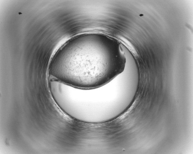 X0000093431196200711021028