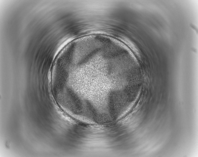 X0000093431198200711021028