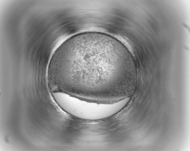 X0000093431199200711021028