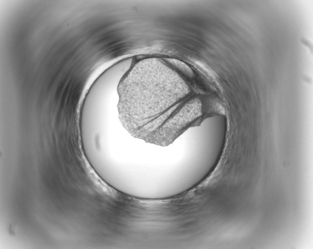 X0000093431200200711021028