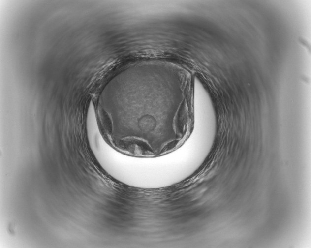 X0000093431202200711021027