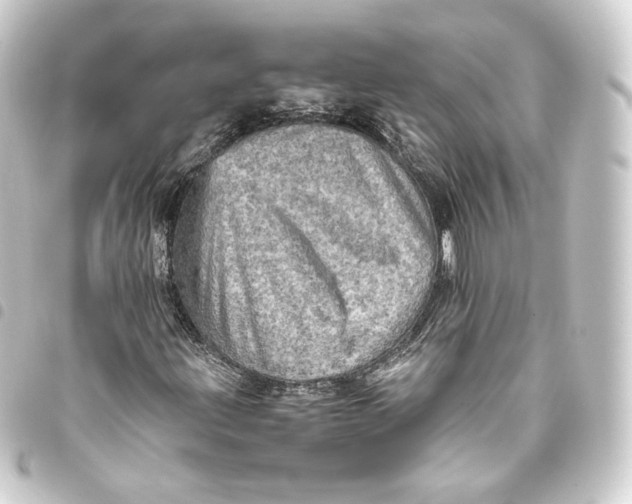 X0000093431203200711021027