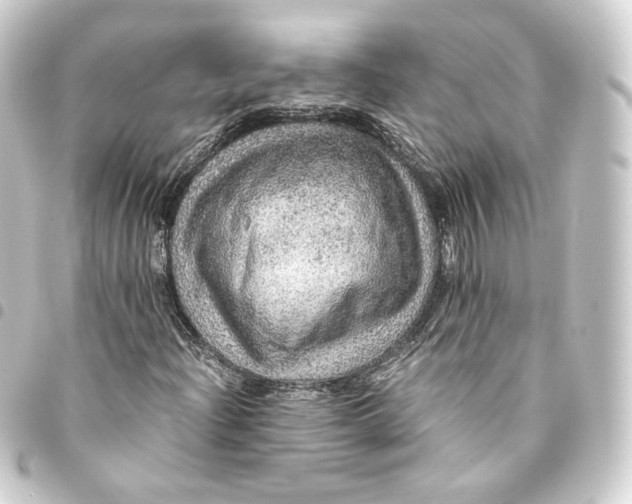 X0000093431204200711021027