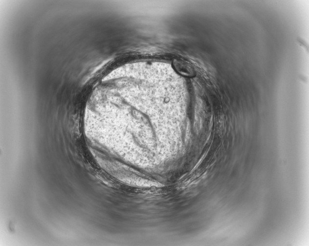 X0000093431205200711021027