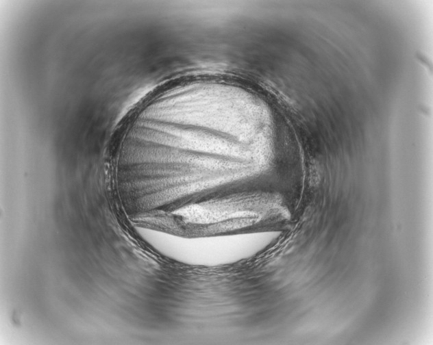 X0000093431208200711021027