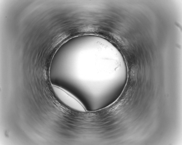 X0000093431209200711021027