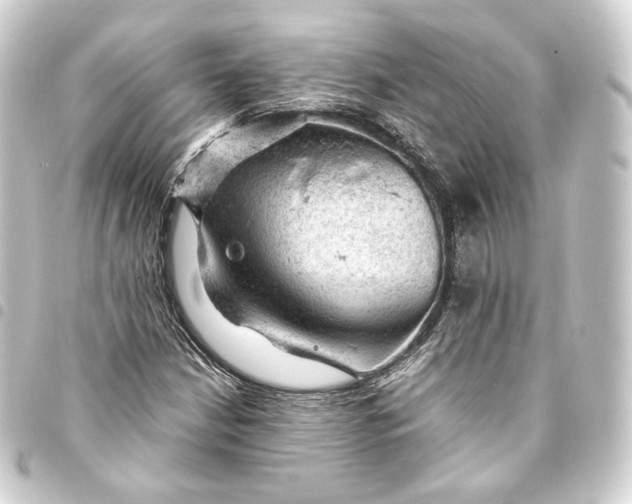 X0000093431210200711021027